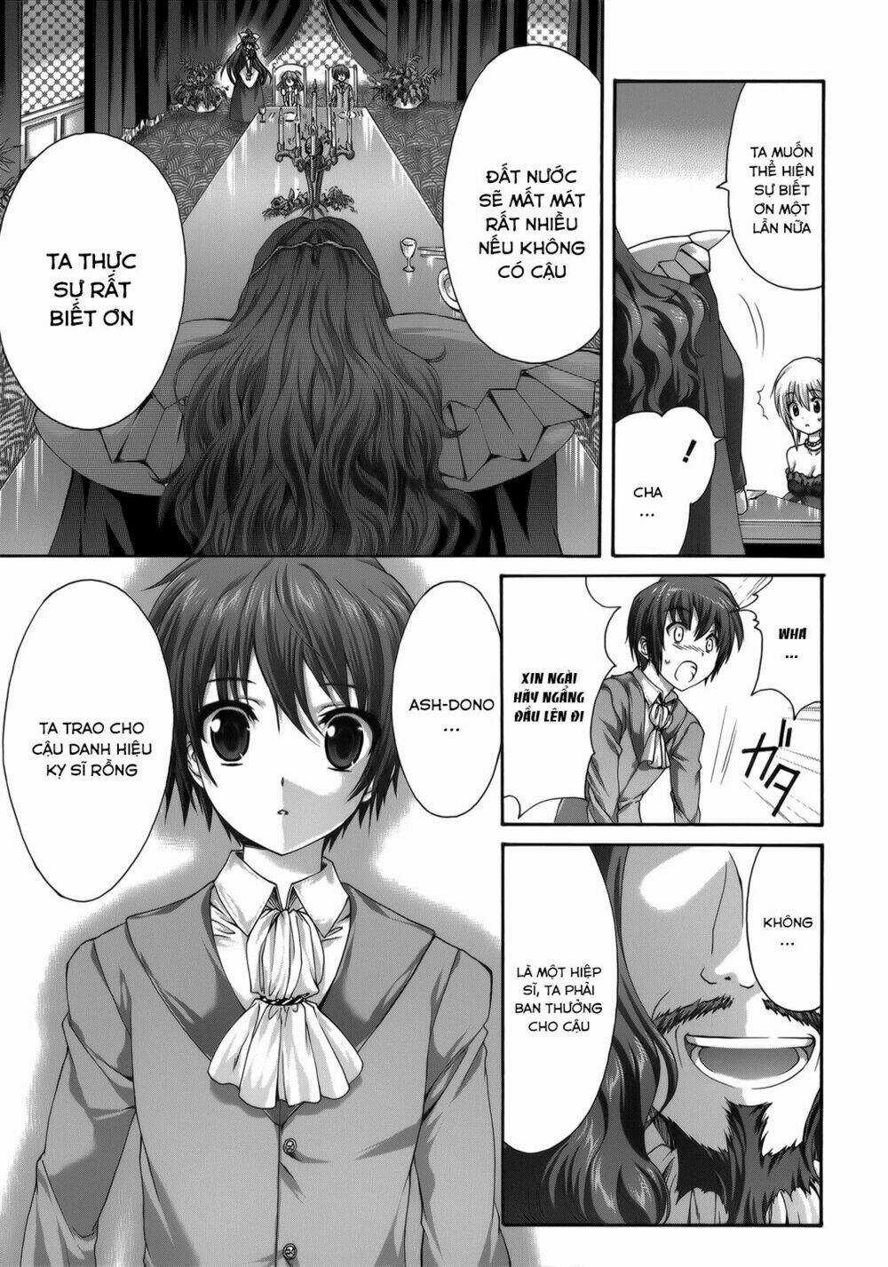 Seikoku No Dragonar Chapter 26 trang 25