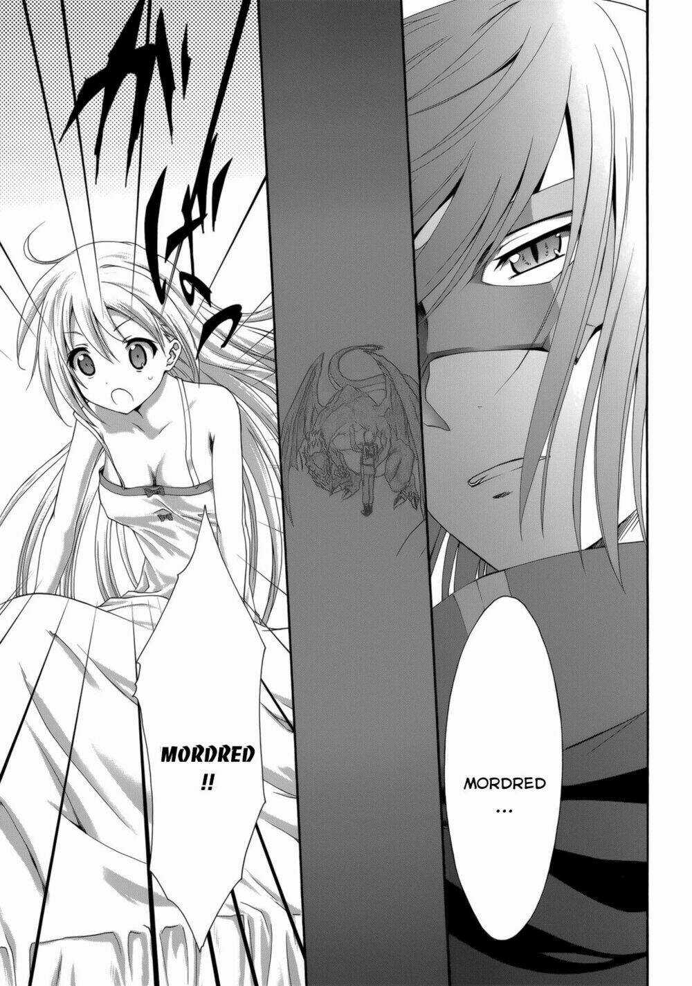 Seikoku No Dragonar Chapter 27 trang 15