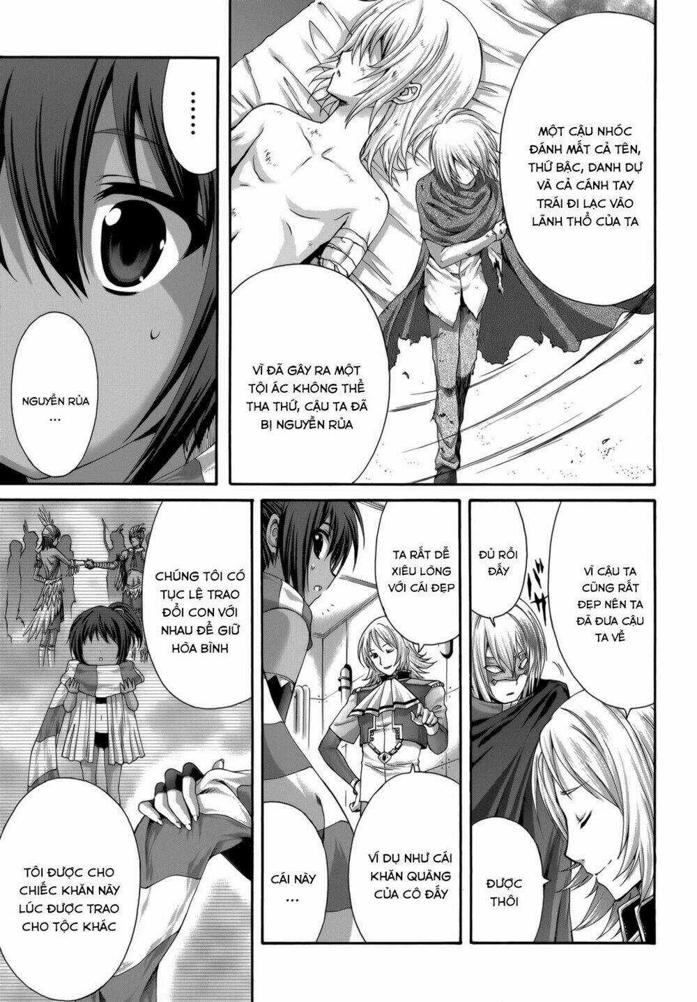 Seikoku No Dragonar Chapter 27 trang 8