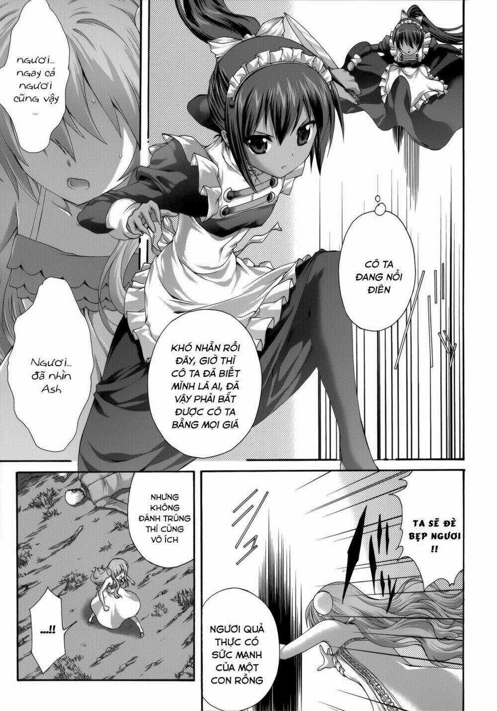 Seikoku No Dragonar Chapter 28 trang 22