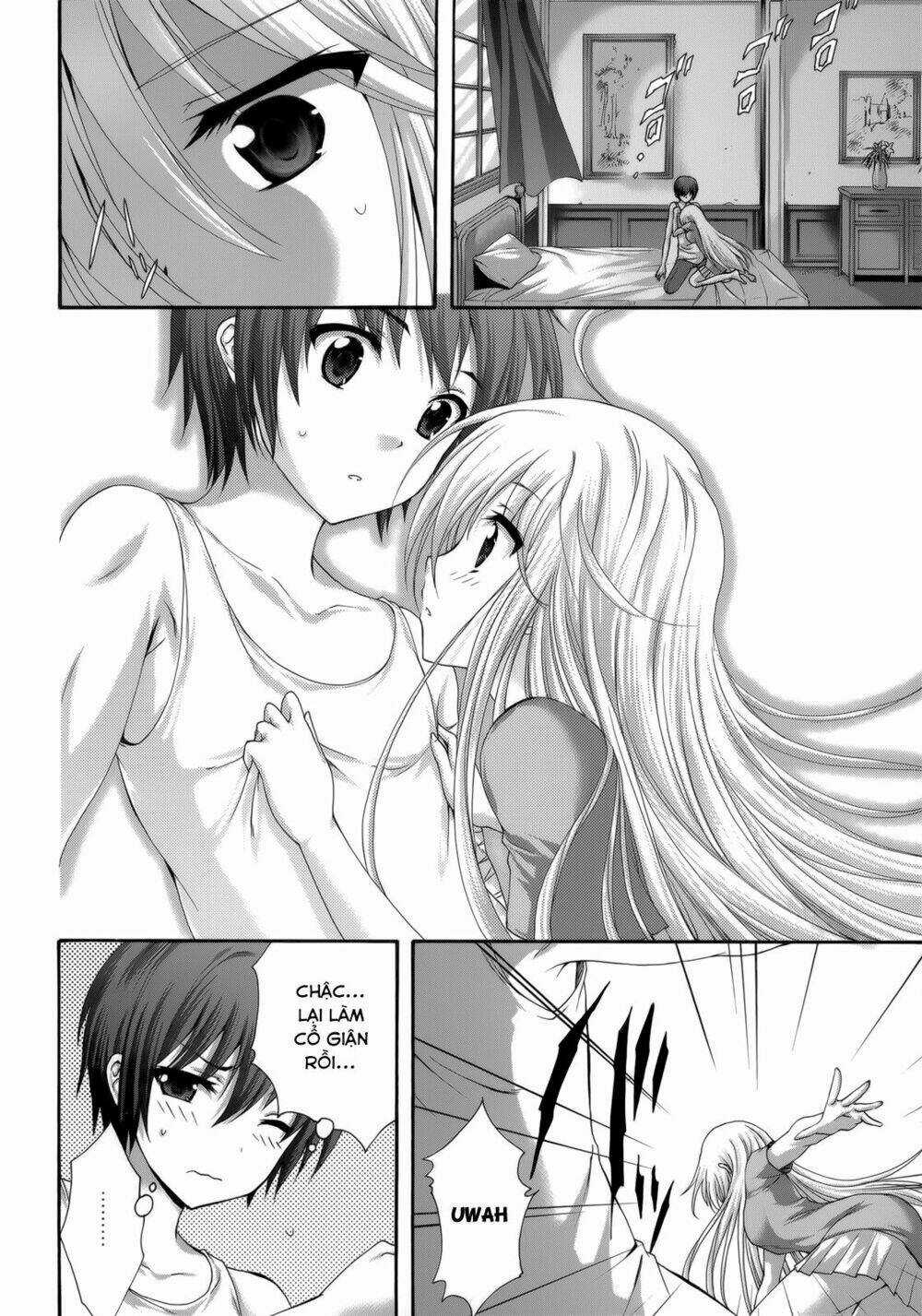 Seikoku No Dragonar Chapter 28 trang 9