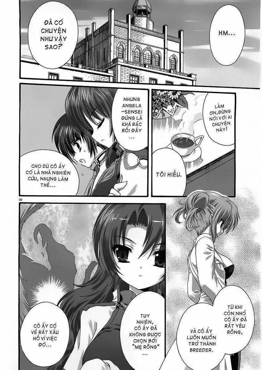 Seikoku No Dragonar Chapter 4 trang 19