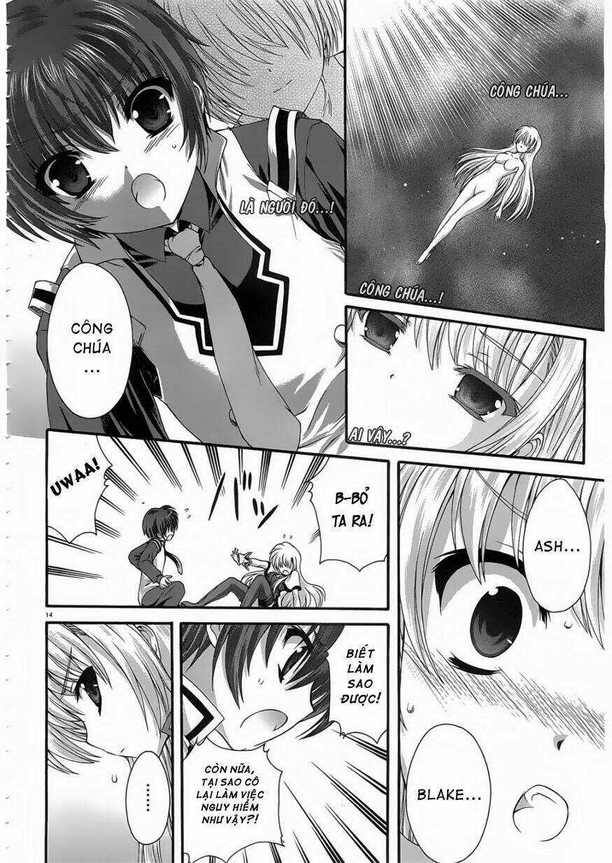 Seikoku No Dragonar Chapter 5 trang 13