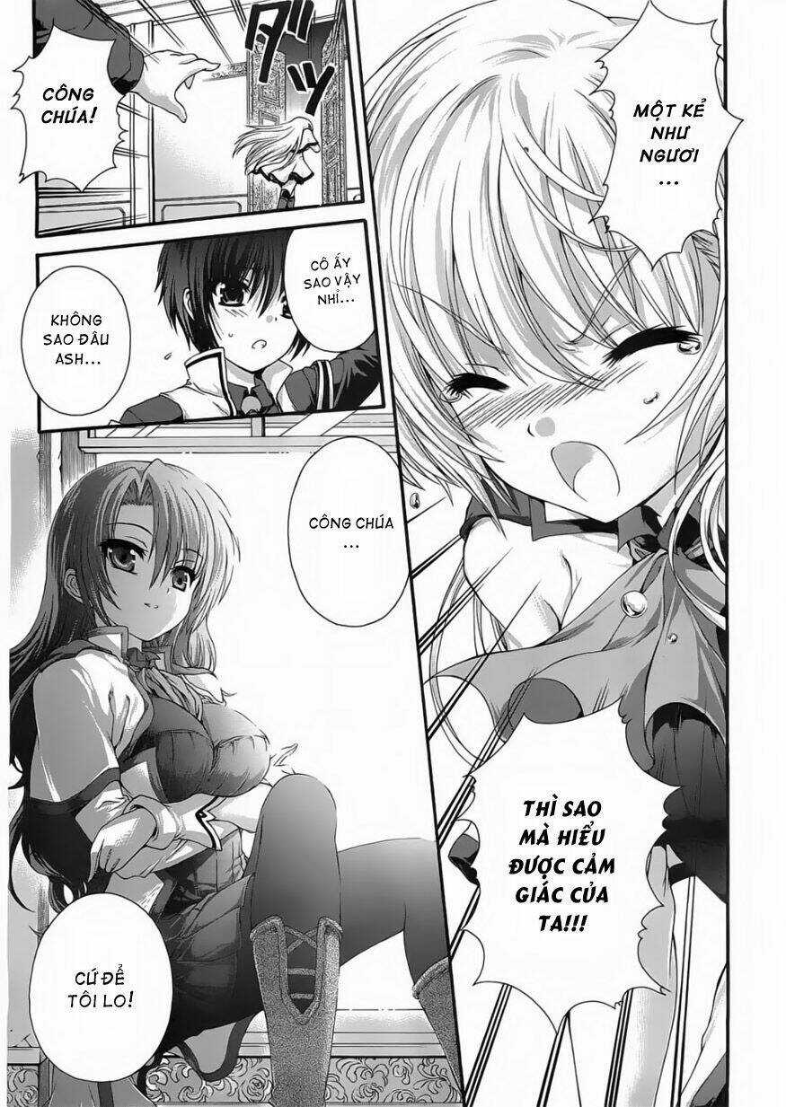 Seikoku No Dragonar Chapter 5 trang 14