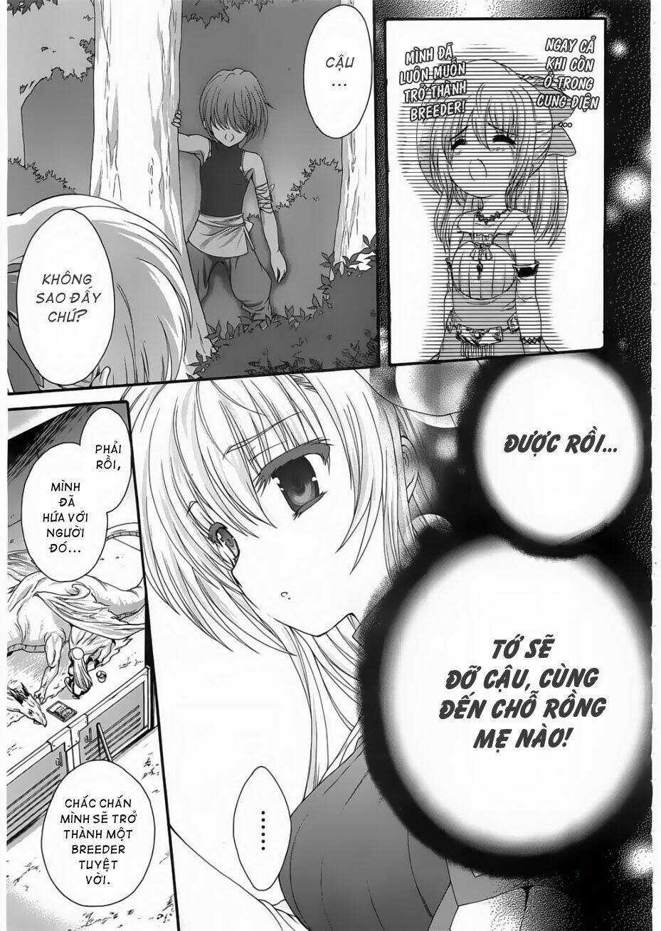 Seikoku No Dragonar Chapter 5 trang 2