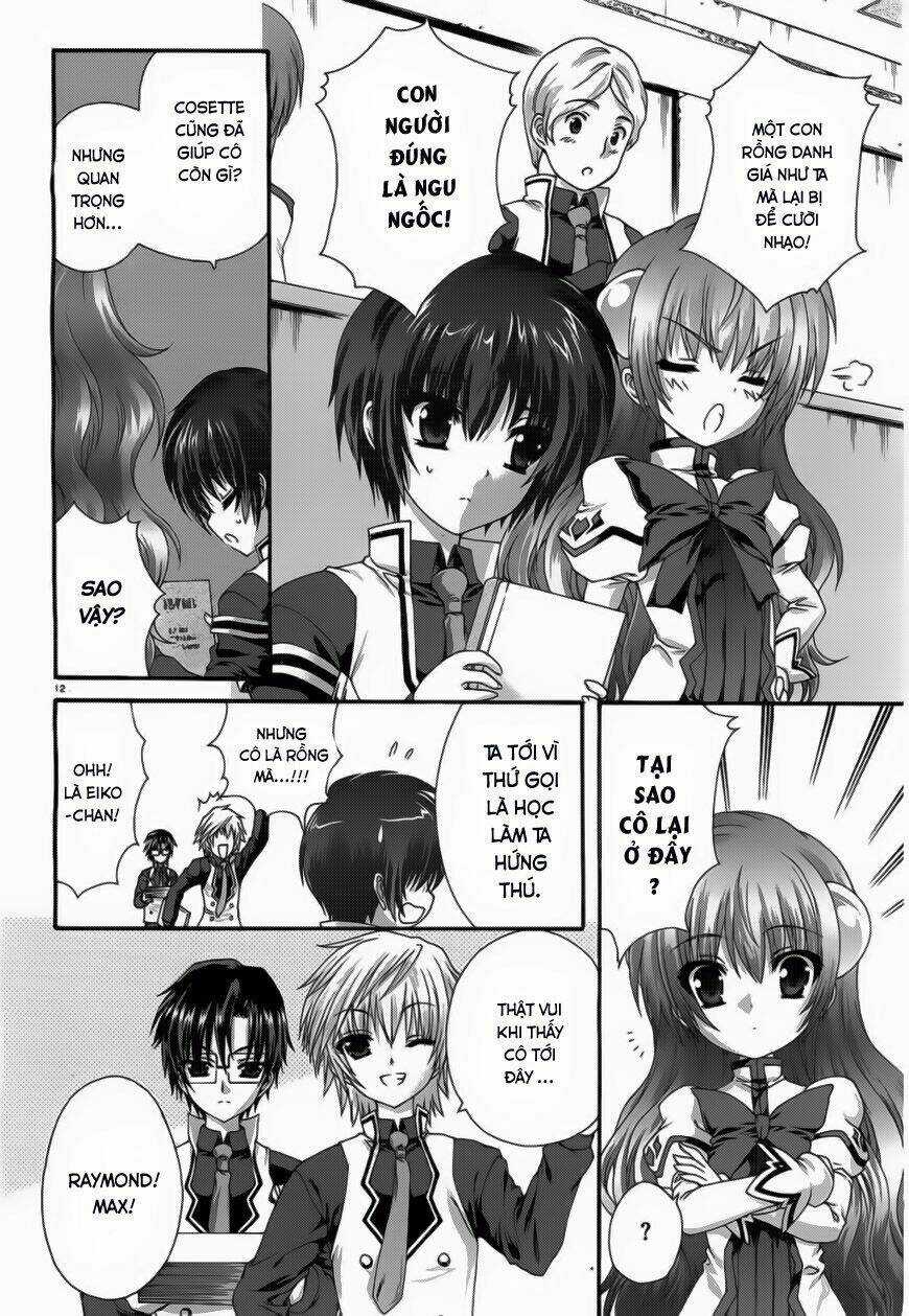 Seikoku No Dragonar Chapter 8 trang 11