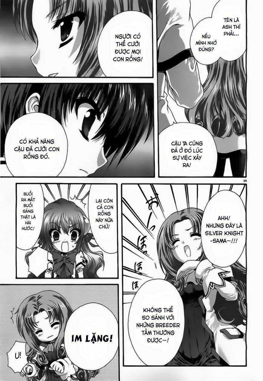 Seikoku No Dragonar Chapter 8 trang 21