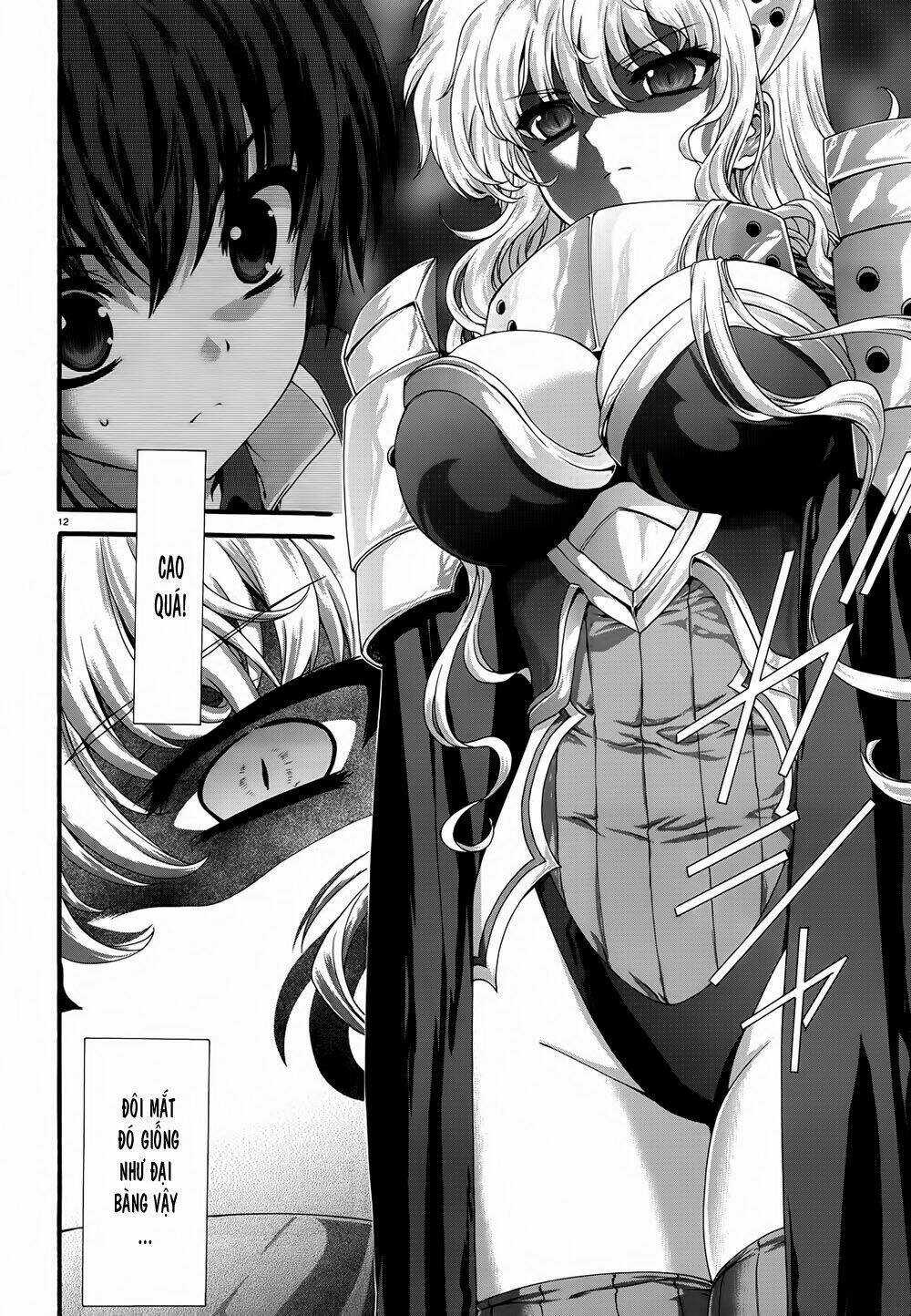 Seikoku No Dragonar Chapter 9 trang 10