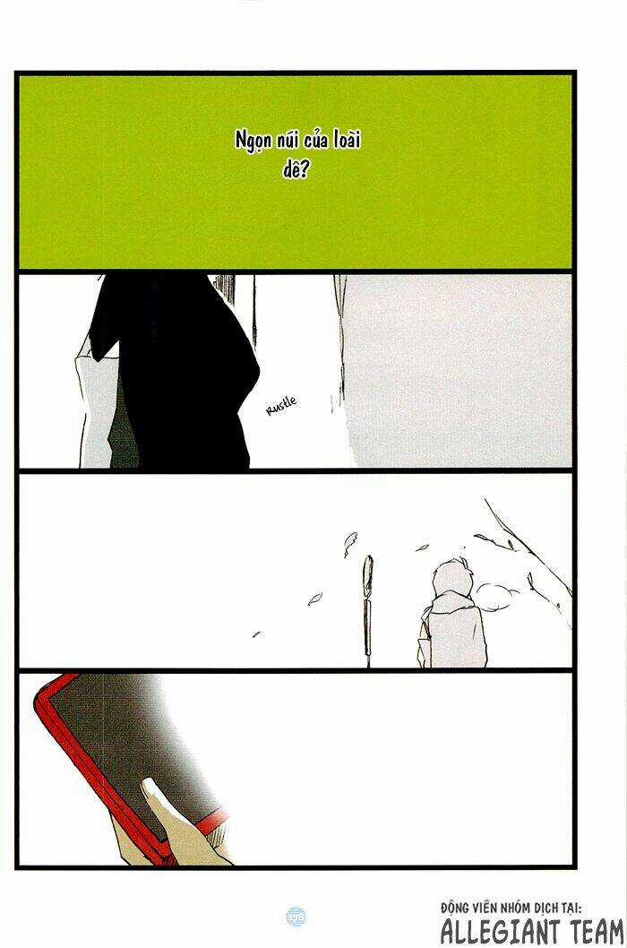 Seishun Rikon Chapter 8 trang 14