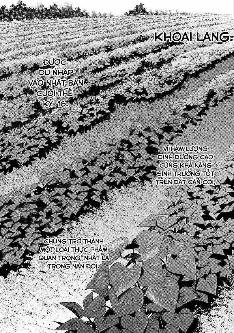 Sengoku Komachi Kurou Tan! Chapter 2 trang 30