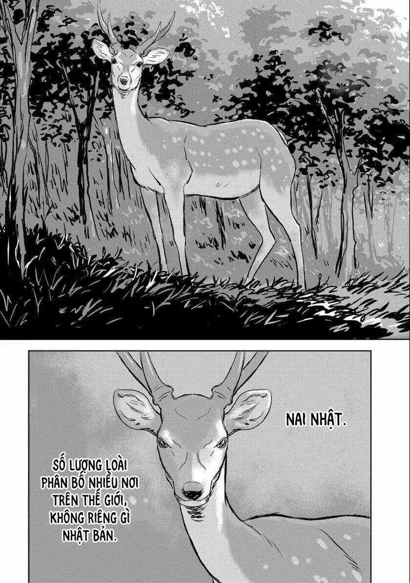 Sengoku Komachi Kurou Tan! Chapter 3 trang 5