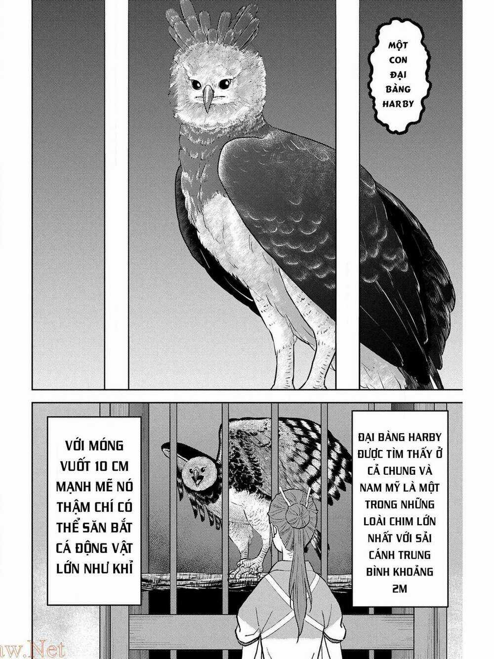 Sengoku Komachi Kurou Tan! Chapter 38 trang 21