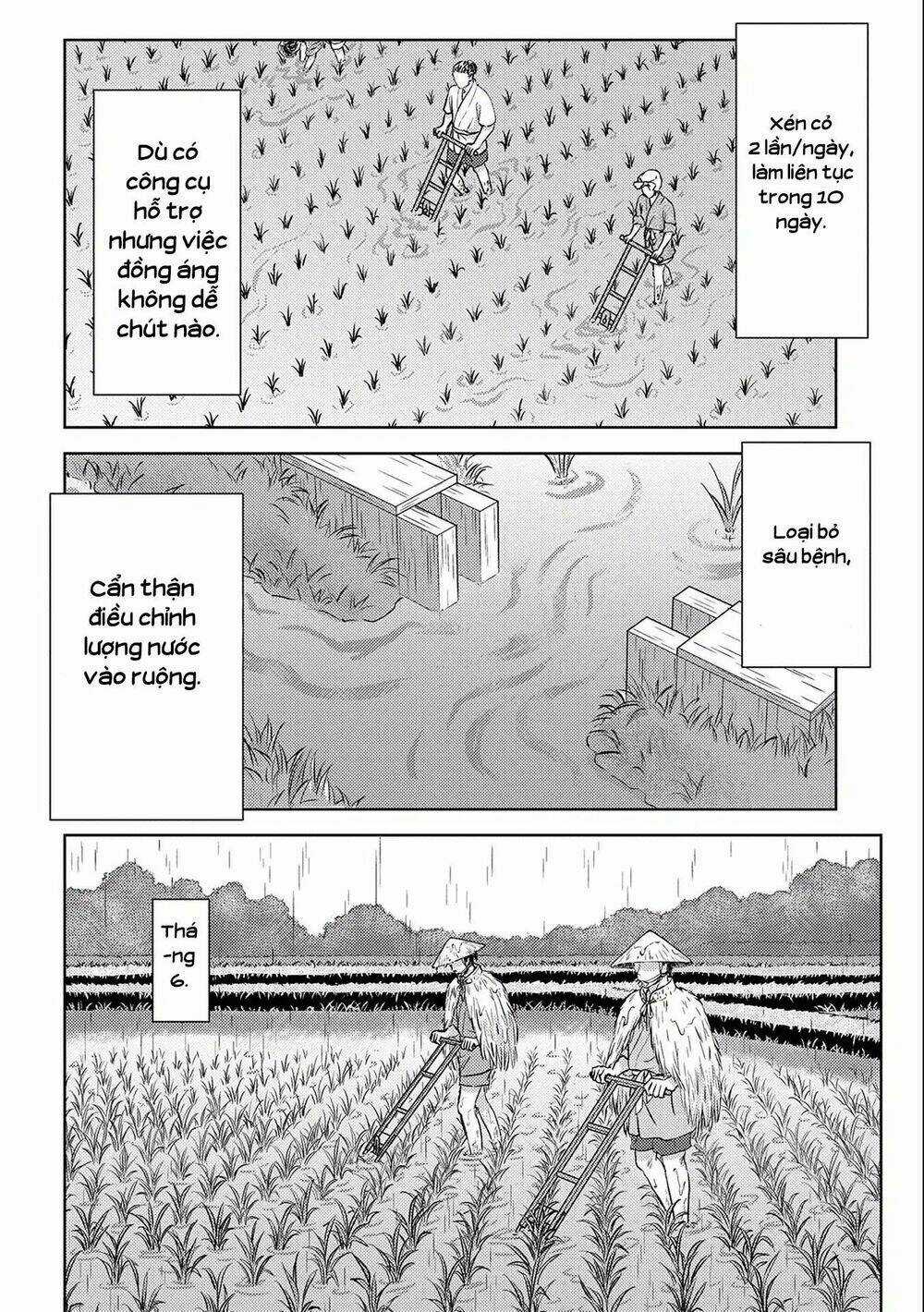 Sengoku Komachi Kurou Tan! Chapter 6 trang 32