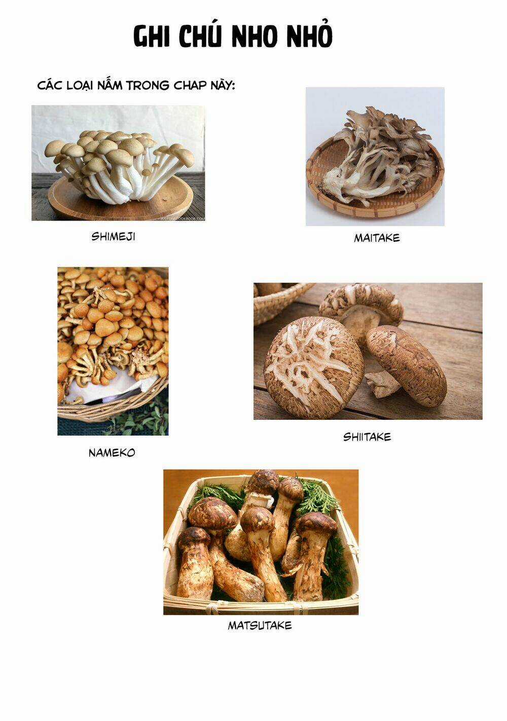 Sengoku Komachi Kurou Tan! Chapter 8 trang 31