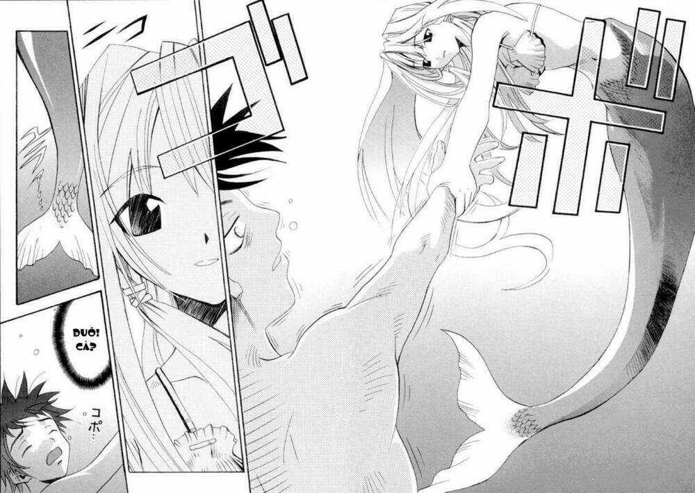 Seto no Hanayome Chapter 1 trang 6