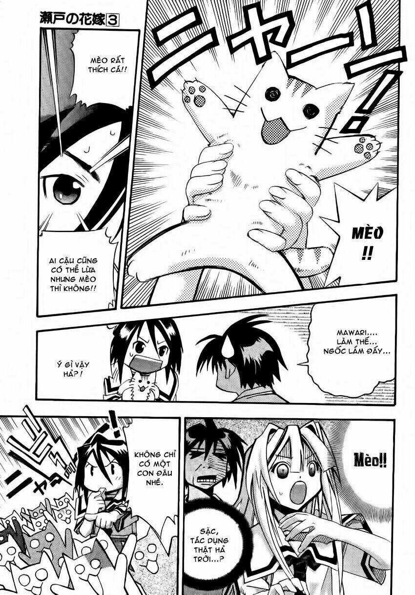 Seto no Hanayome Chapter 11 trang 16