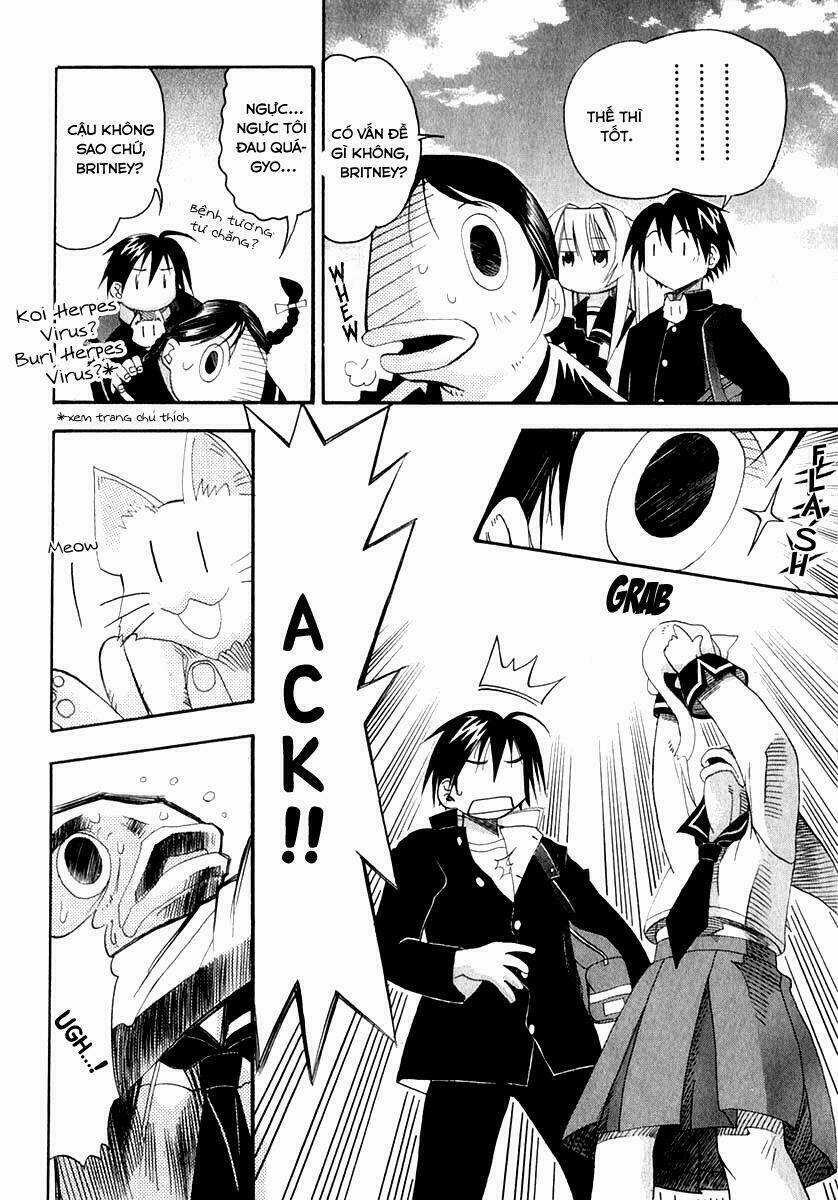 Seto no Hanayome Chapter 23 trang 31