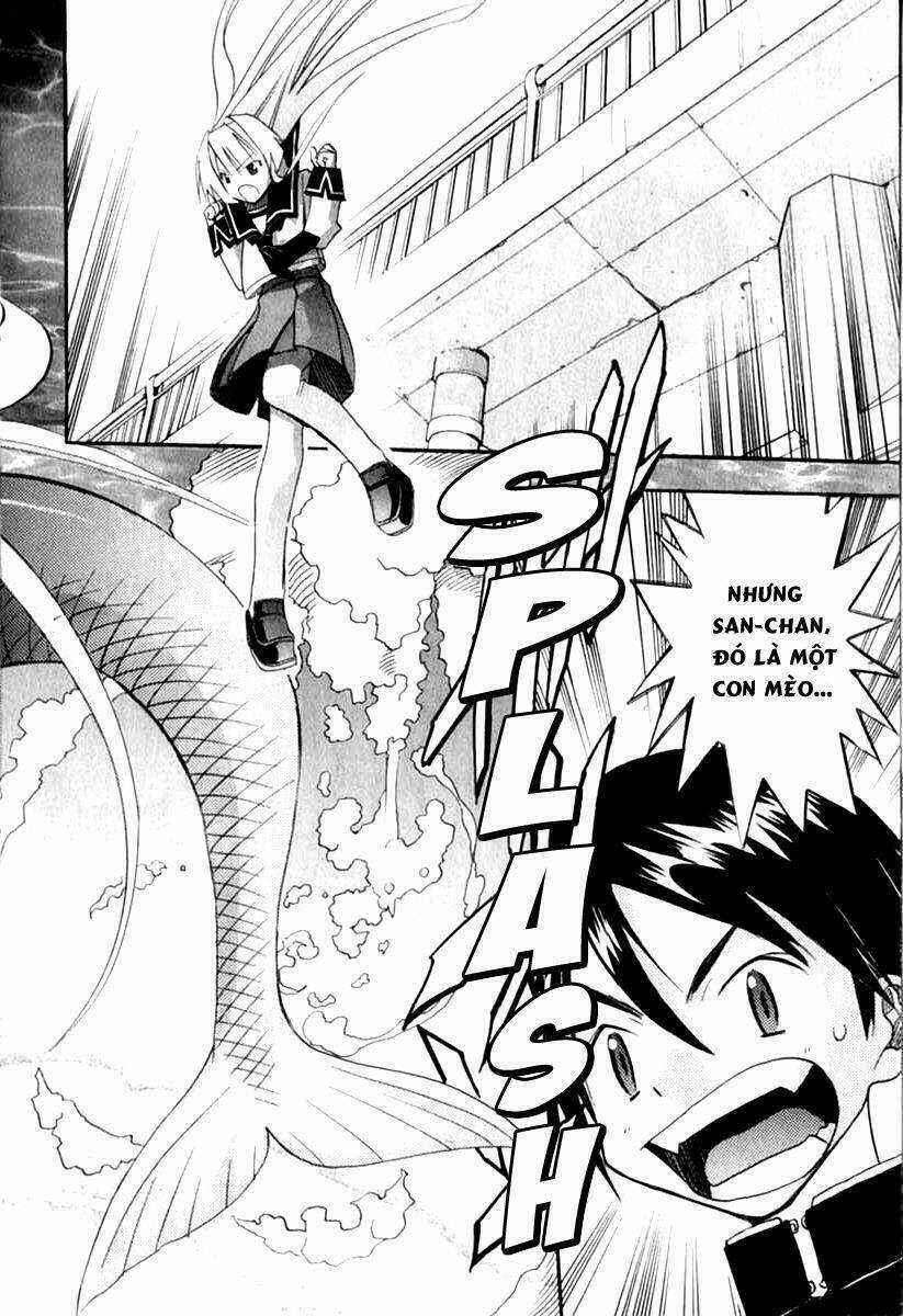 Seto no Hanayome Chapter 23 trang 36