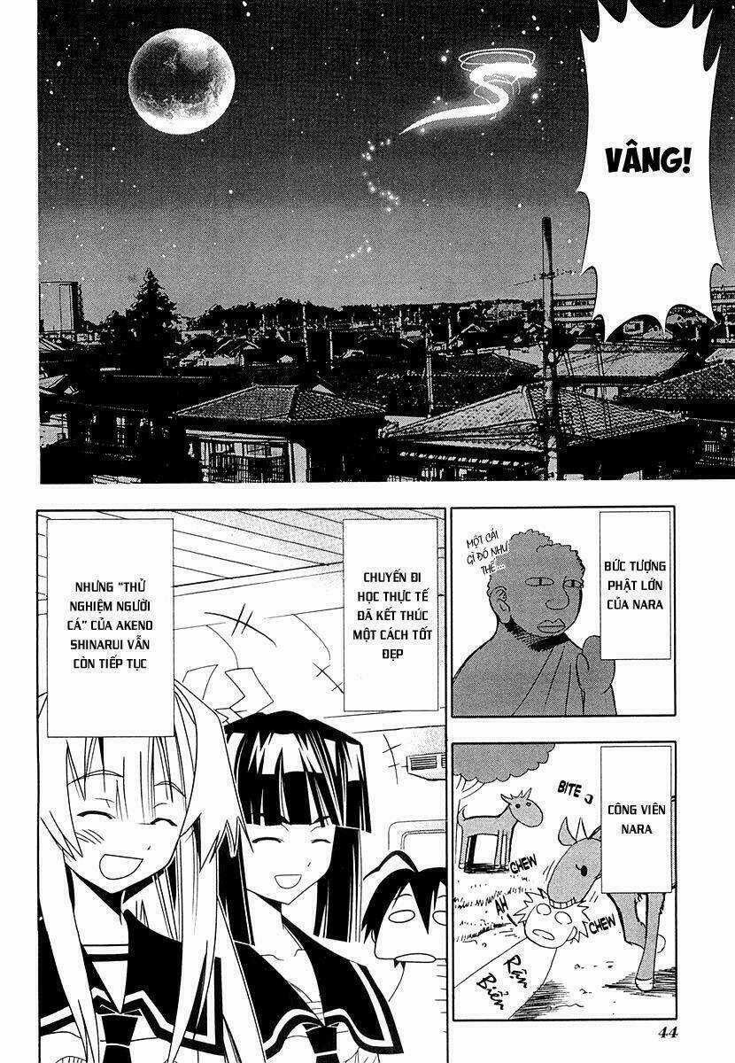 Seto no Hanayome Chapter 29 trang 43
