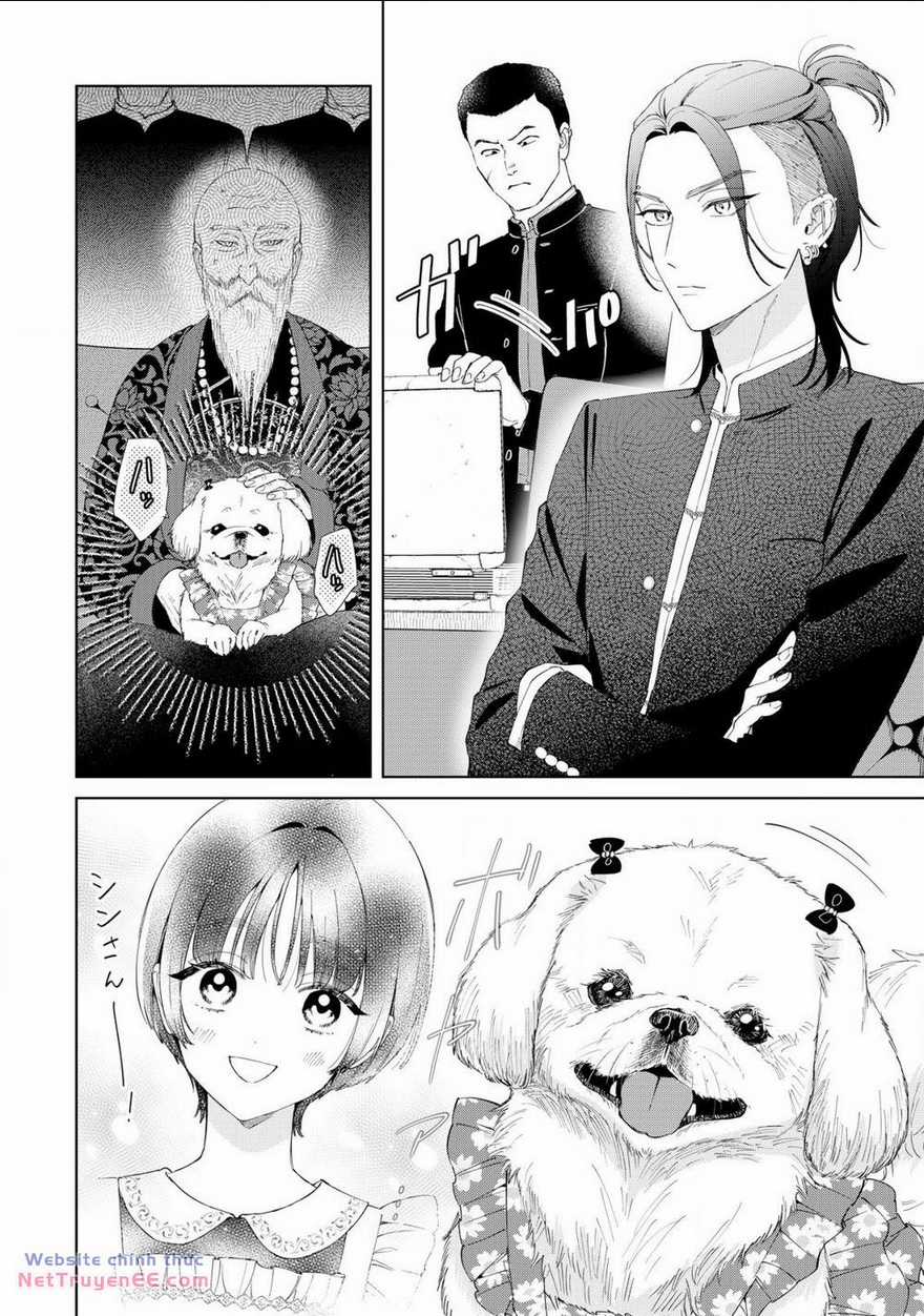 Sewayaki Mafia To Hakkou Shoujo Chapter 6 trang 3