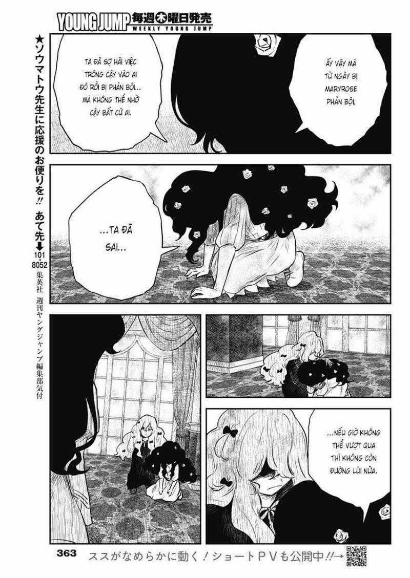 Shadows House Chapter 148 trang 14