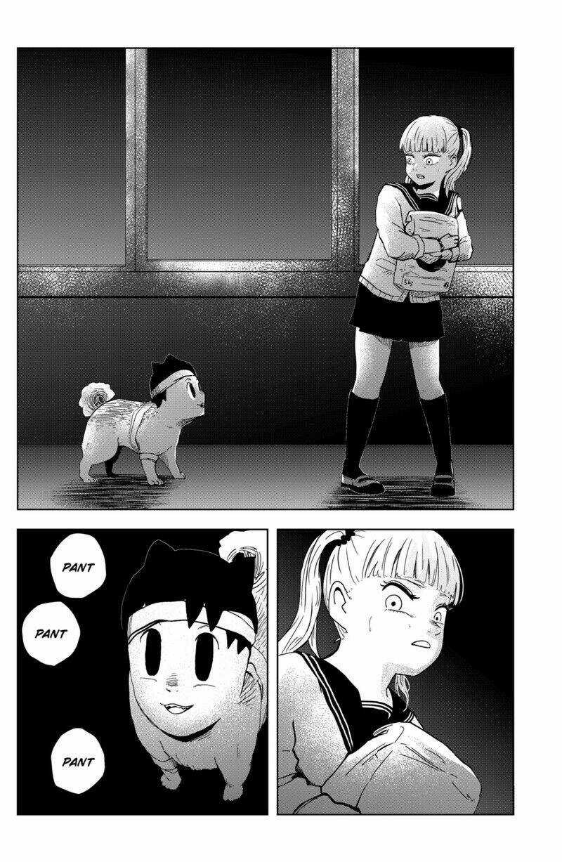 Shibatarian Chapter 19 trang 5