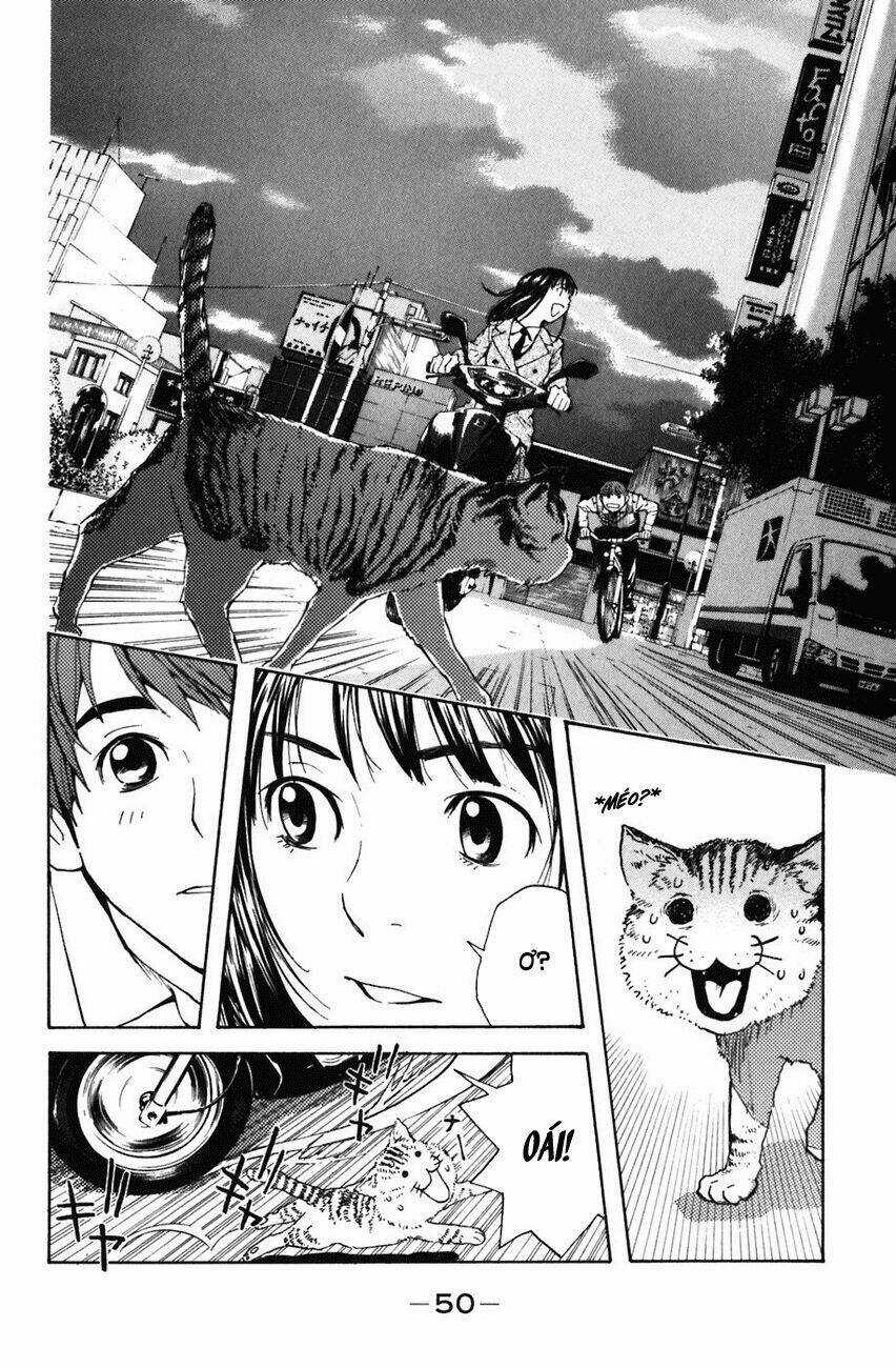 Shibatora Chapter 1 trang 43