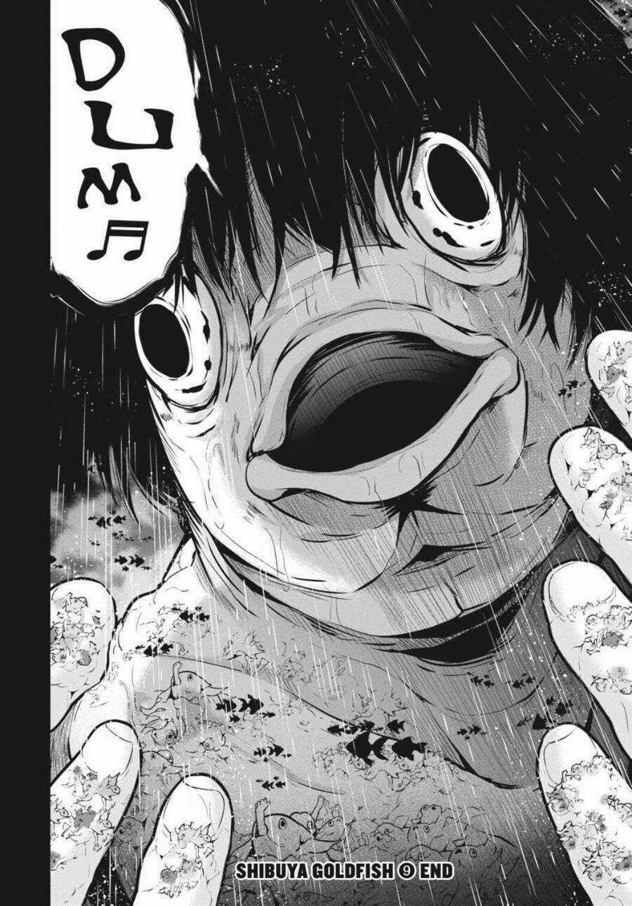 Shibuya Kingyo Chapter 37 trang 42