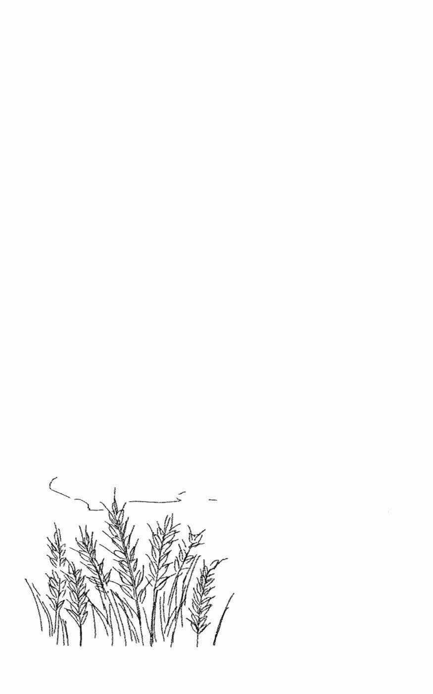 Shiki No Zenjitsu Chapter 5 trang 31