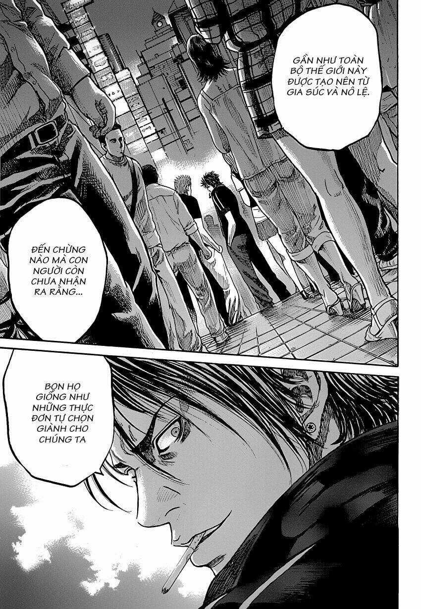 Shimauma Chapter 1 trang 17