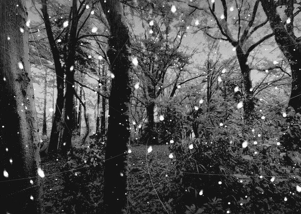 Shin'ai Naru Boku E Satsui Wo Komete Chapter 75 trang 14