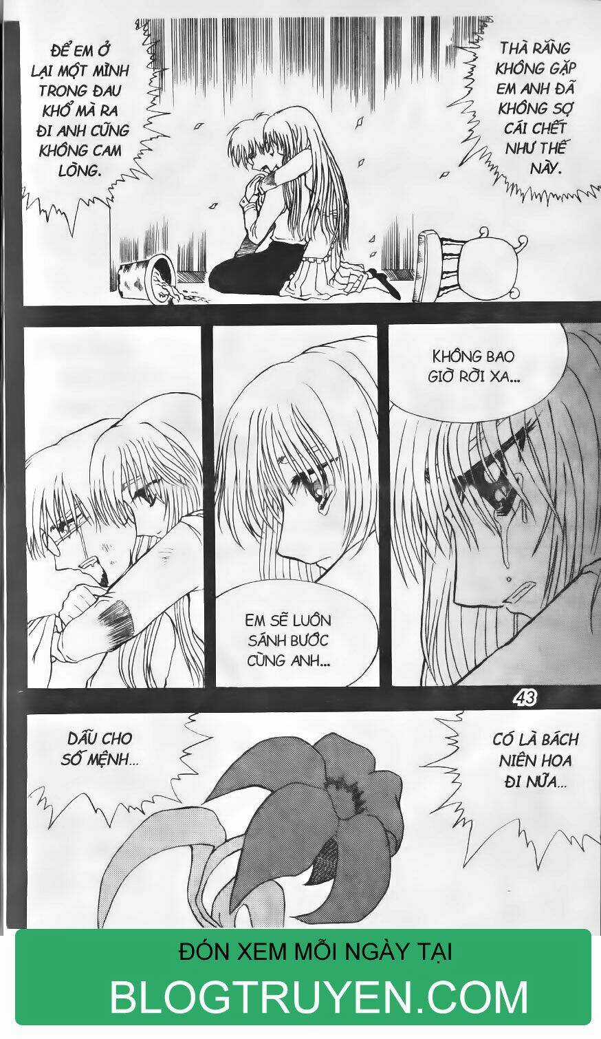 Shin Gumiho - Hội Pháp Sư Chapter 12.1 trang 5