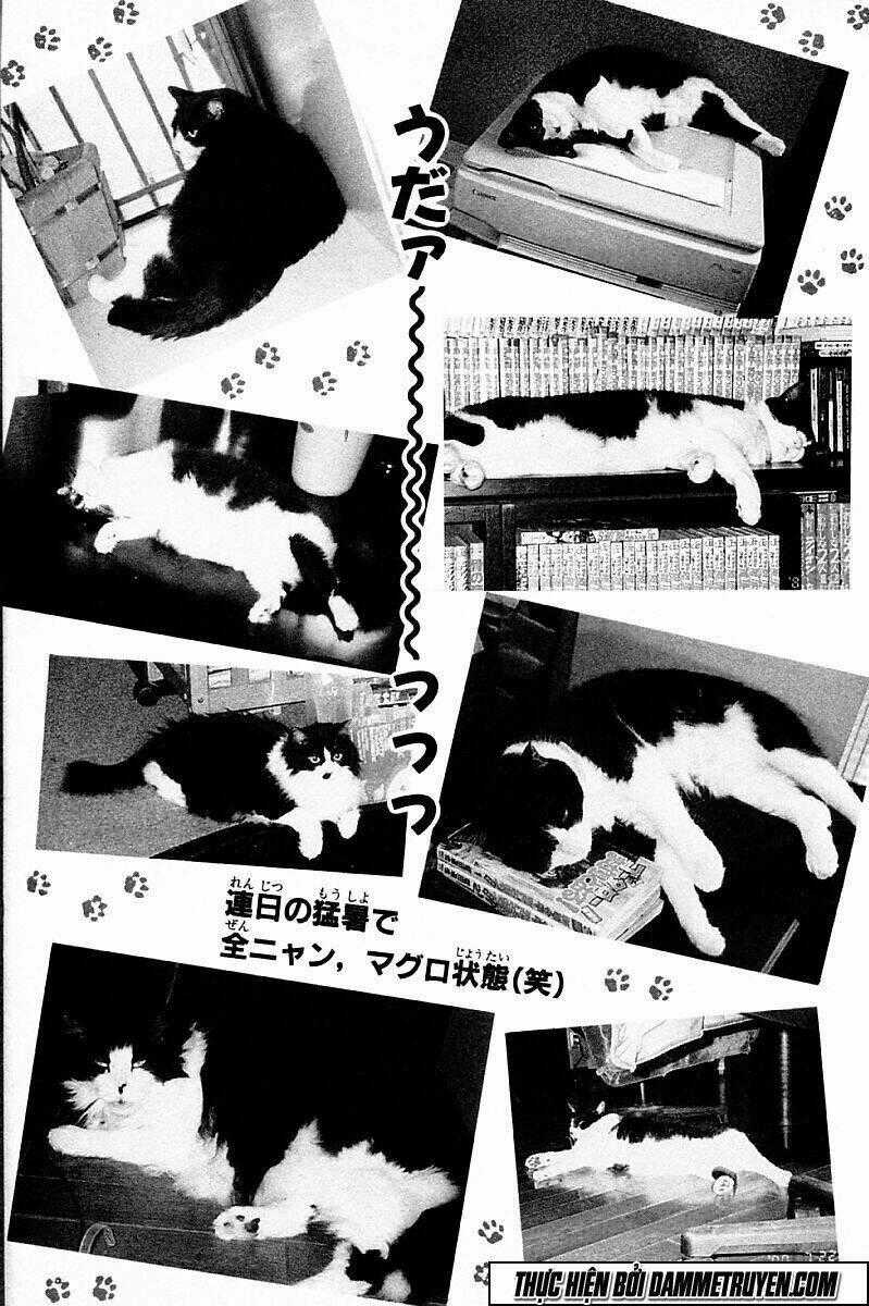 Shin Kotaro Makaritoru! Juudouhen Chapter 205 trang 13