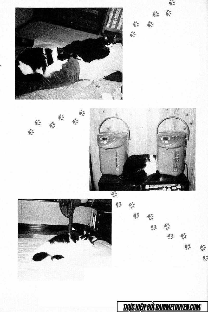 Shin Kotaro Makaritoru! Juudouhen Chapter 215 trang 12