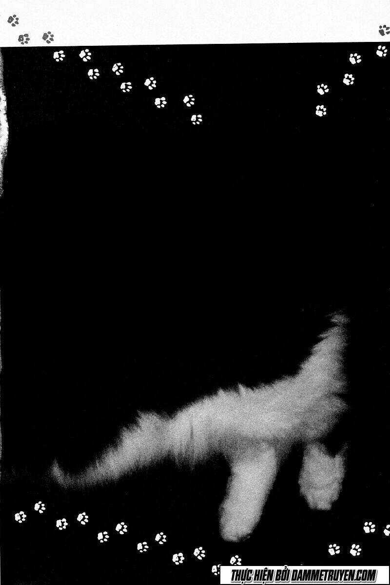 Shin Kotaro Makaritoru! Juudouhen Chapter 216 trang 2