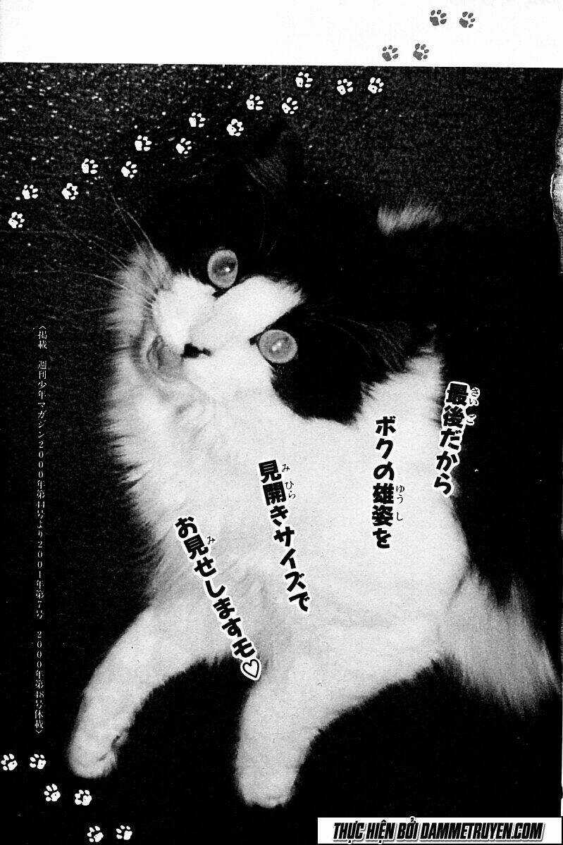 Shin Kotaro Makaritoru! Juudouhen Chapter 216 trang 3