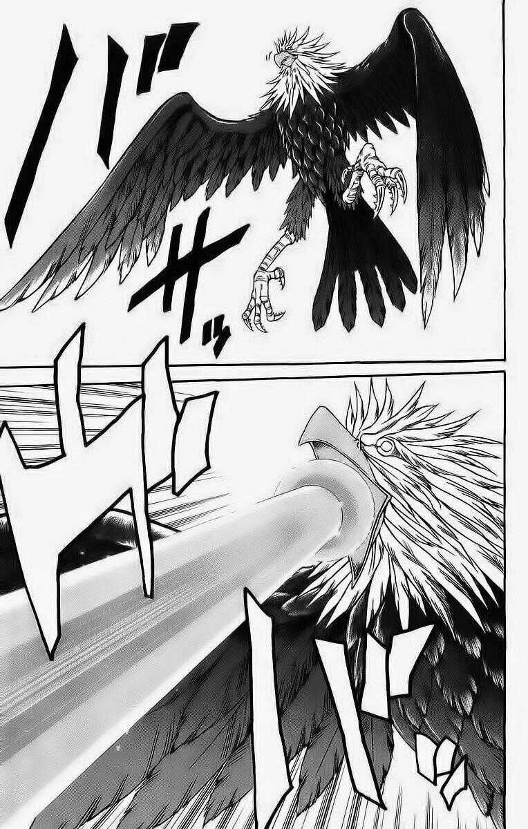 Shin Kurosagi - Con Diệc Đen 2 Chapter 235 trang 19