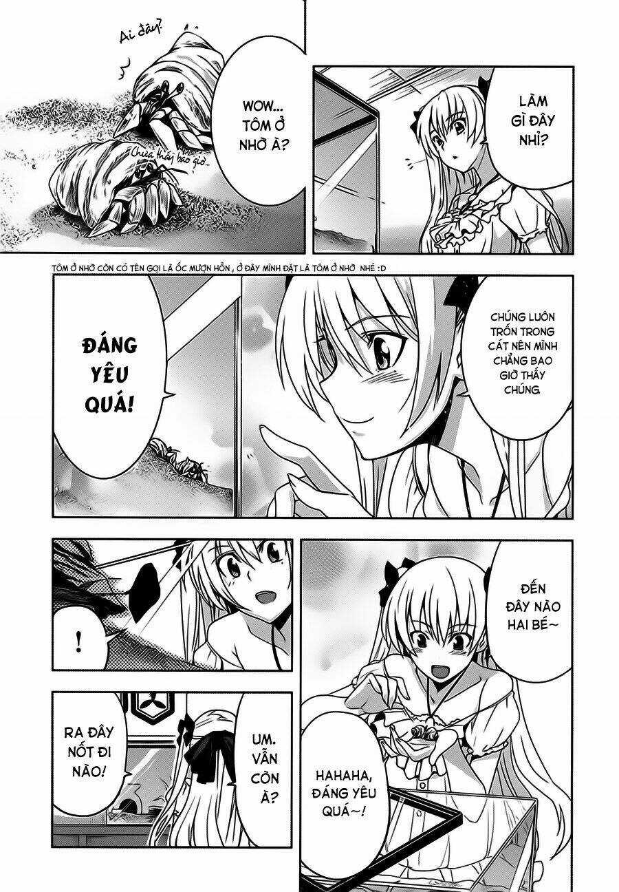 Shinken De Watashi Ni Koi Shinasai Chapter 8 trang 16