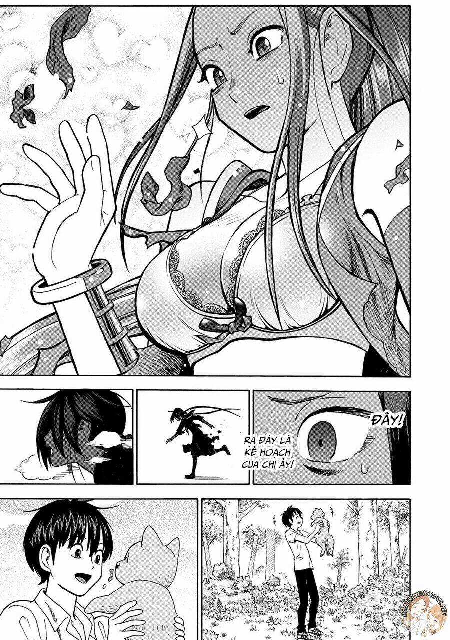 Shinobuna! Chiyo-Chan Chapter 10 trang 15