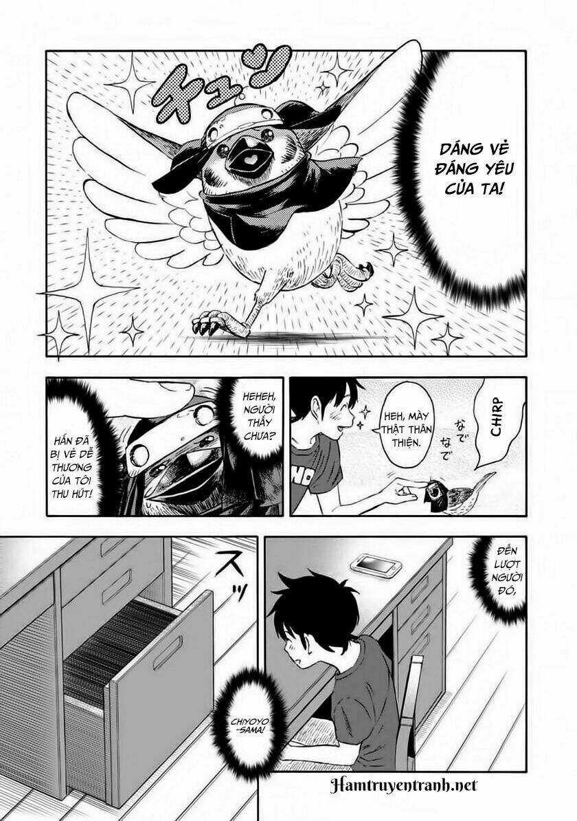 Shinobuna! Chiyo-Chan Chapter 6 trang 12