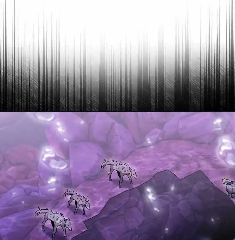 Shipper Đến Từ Murim Chapter 48 trang 7