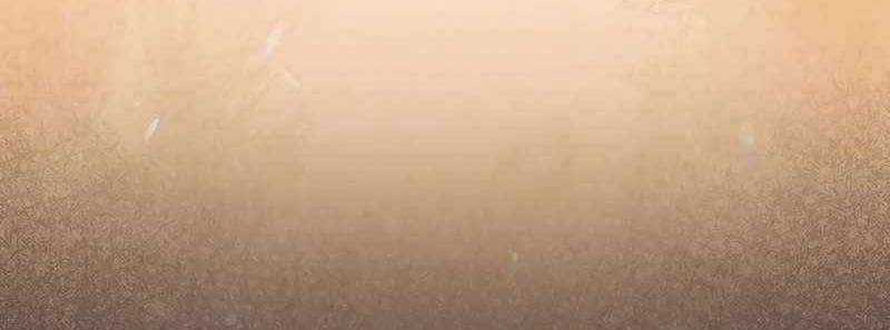 Shipper Đến Từ Murim Chapter 50 trang 166