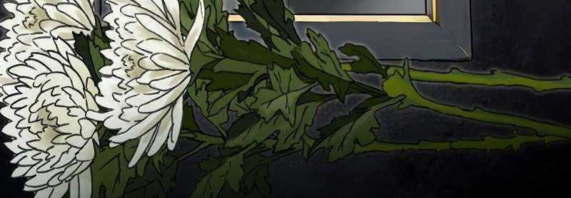 Shipper Đến Từ Murim Chapter 50 trang 291