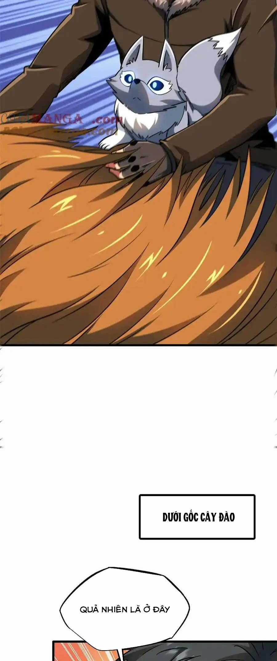 Siêu Cấp Thần Cơ Nhân - Siêu Cấp Gen Thần - Siêu Cấp Thần Gen Chapter 244 trang 19