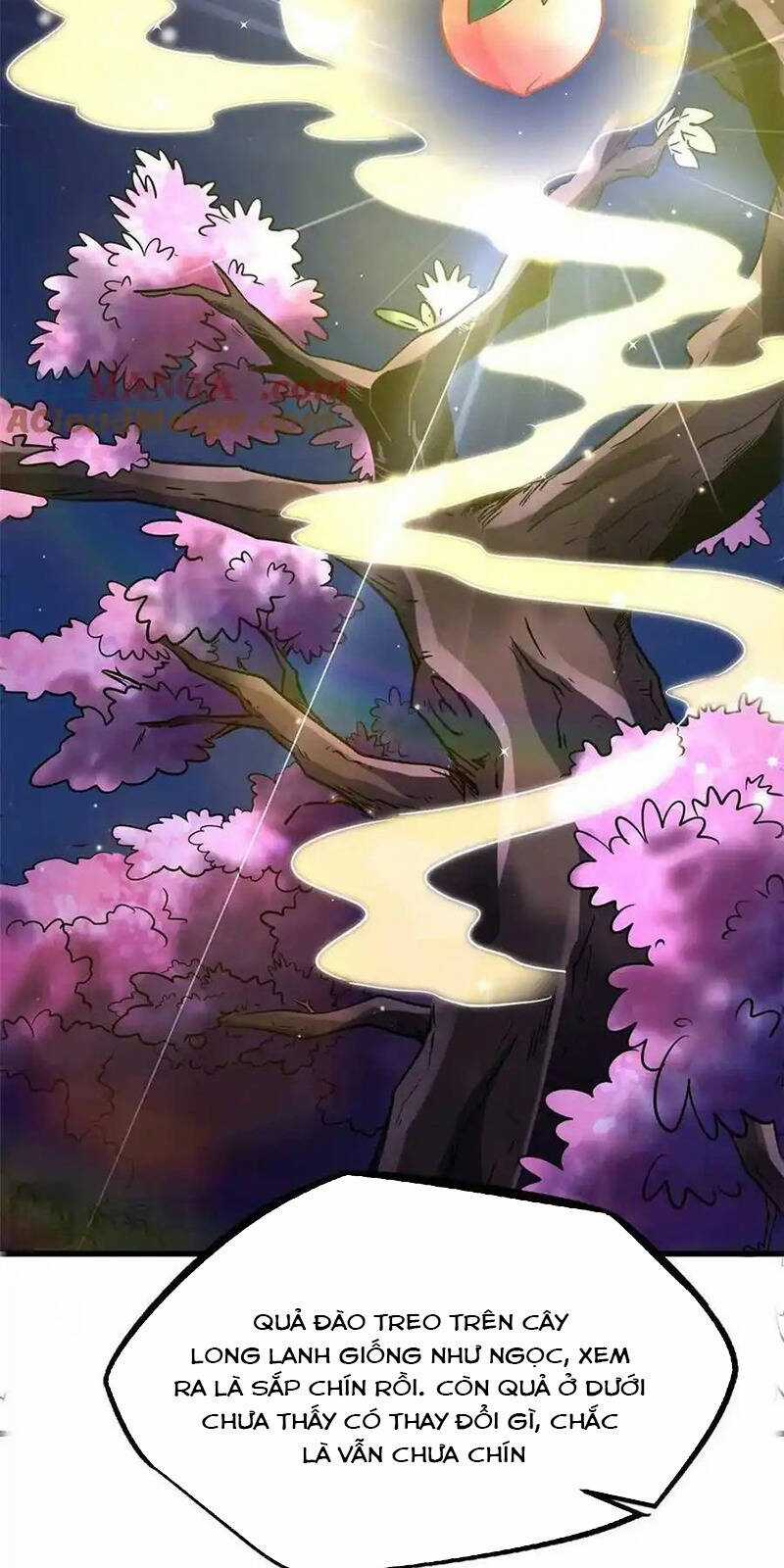 Siêu Cấp Thần Cơ Nhân - Siêu Cấp Gen Thần - Siêu Cấp Thần Gen Chapter 245 trang 6