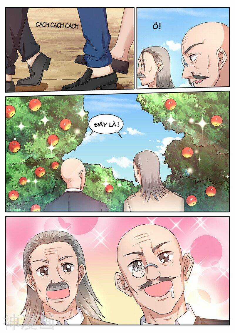 Siêu Cấp Thần Y Hệ Thống Chapter 62 trang 5