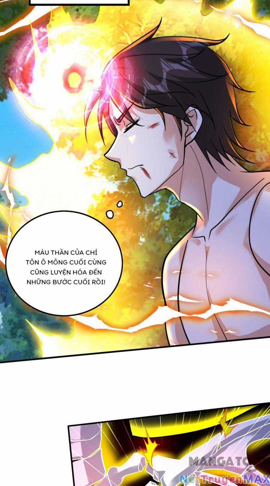 Siêu Cấp Thần Y Tại Đô Thị Chapter 270 trang 13