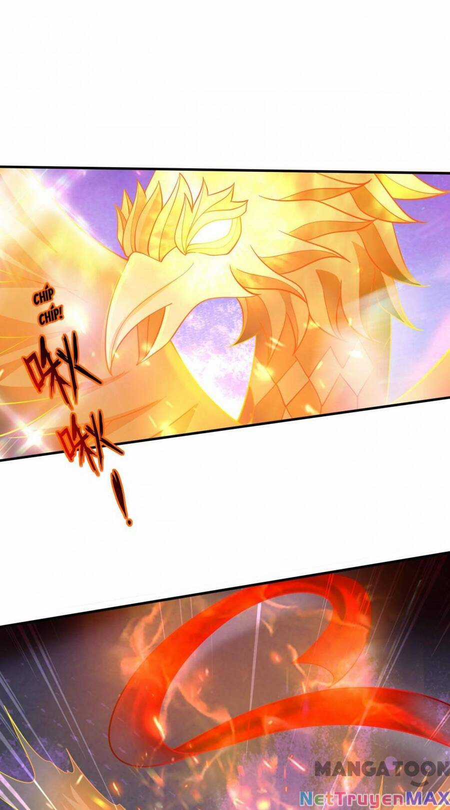 Siêu Cấp Thần Y Tại Đô Thị Chapter 273 trang 11