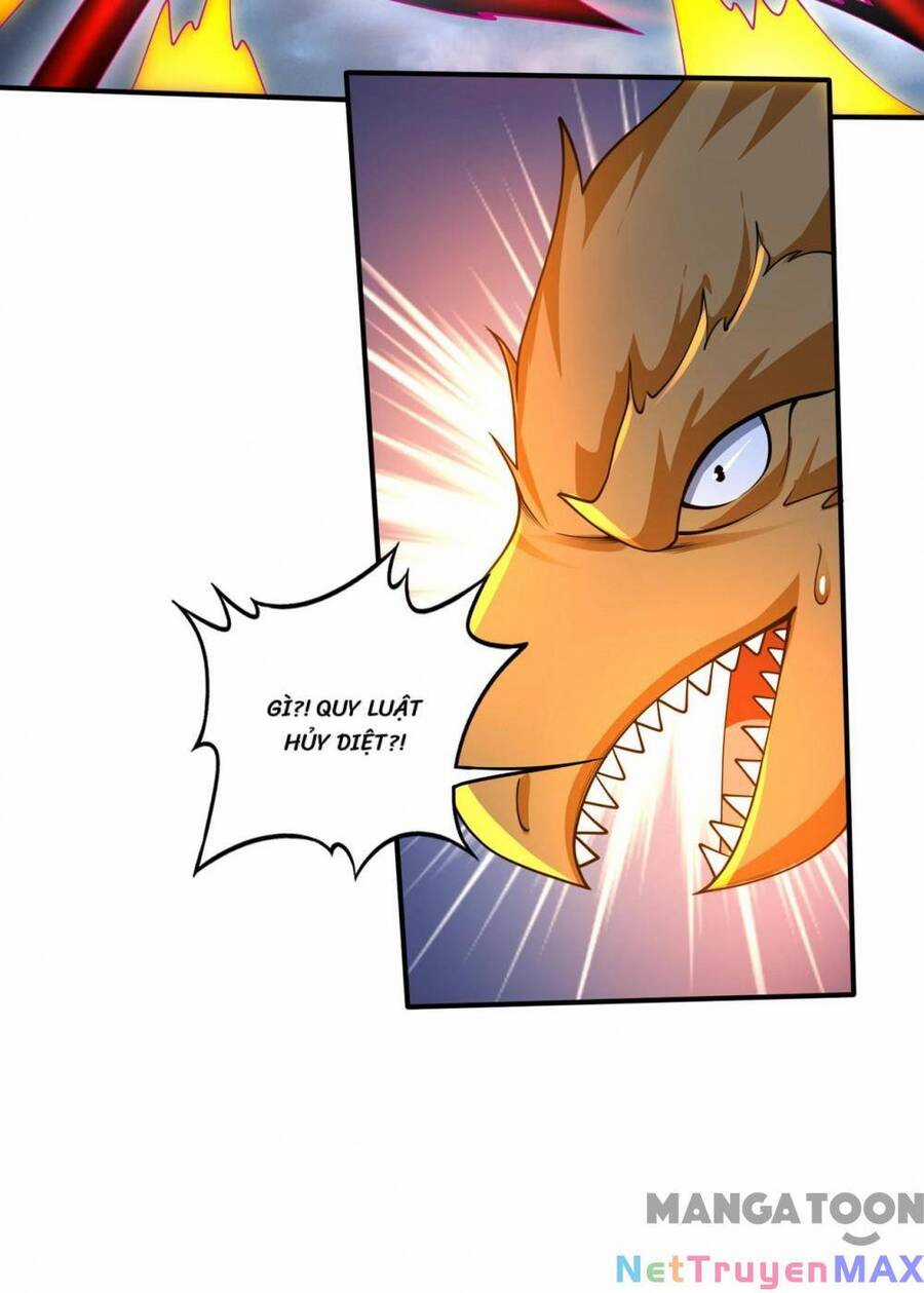 Siêu Cấp Thần Y Tại Đô Thị Chapter 314 trang 15