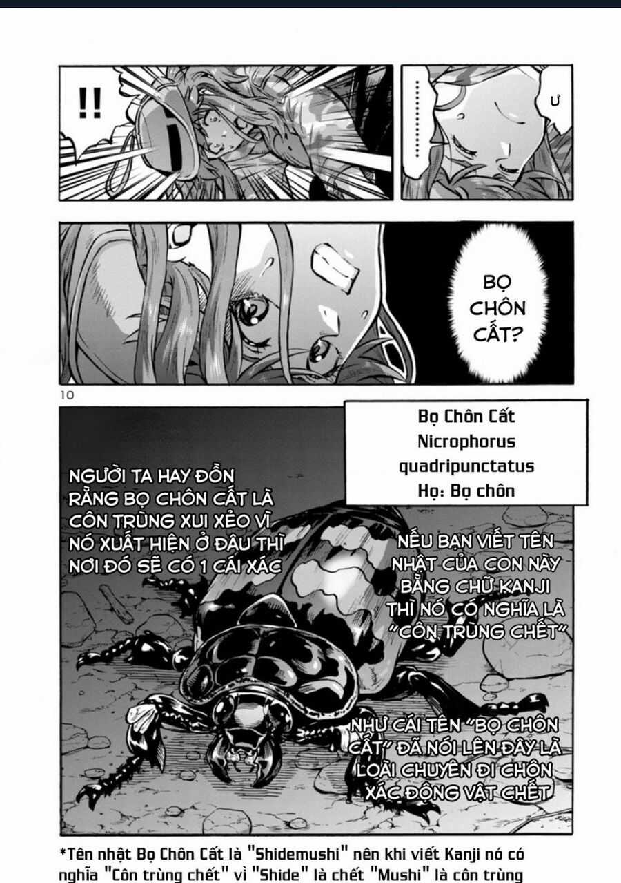 Siêu Đảo Côn Trùng Chapter 38.5 trang 11